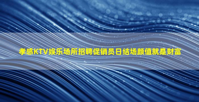 孝感KTV娱乐场所招聘促销员日结场颜值就是财富